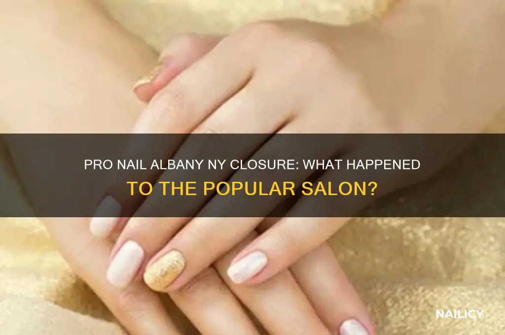 what happened to pro nail in albany ny
