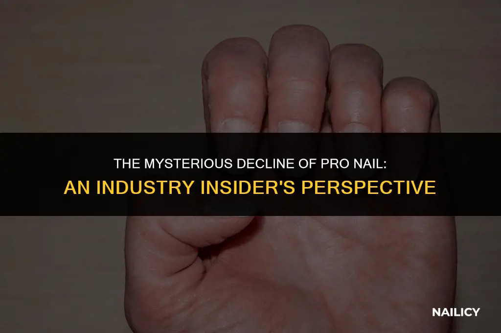 what happened to pro nail
