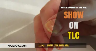 The Nail Show's Disappearance: What Happened to TLC's Hit Series?
