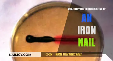 Rusting Revealed: The Chemical Process Behind an Iron Nail's Decay