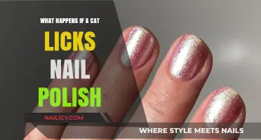 Cat Licks Nail Polish: Potential Risks and What to Do Next