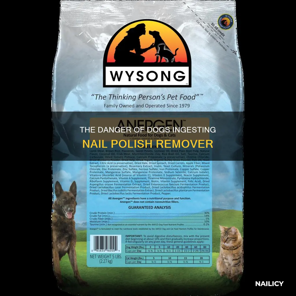 what happens if a dog eats nail polish remover
