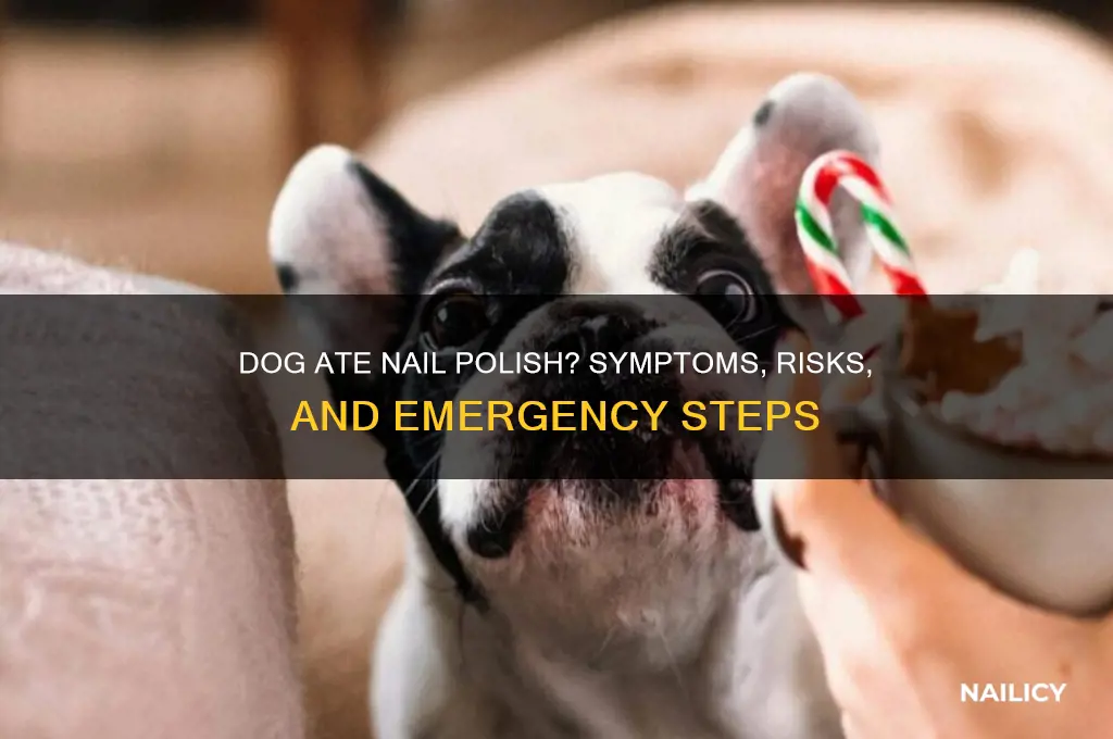 what happens if a dog eats nail polish