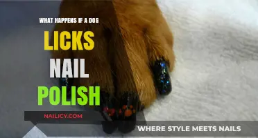 Dog Licks Nail Polish: Risks, Symptoms, and Quick Remedies