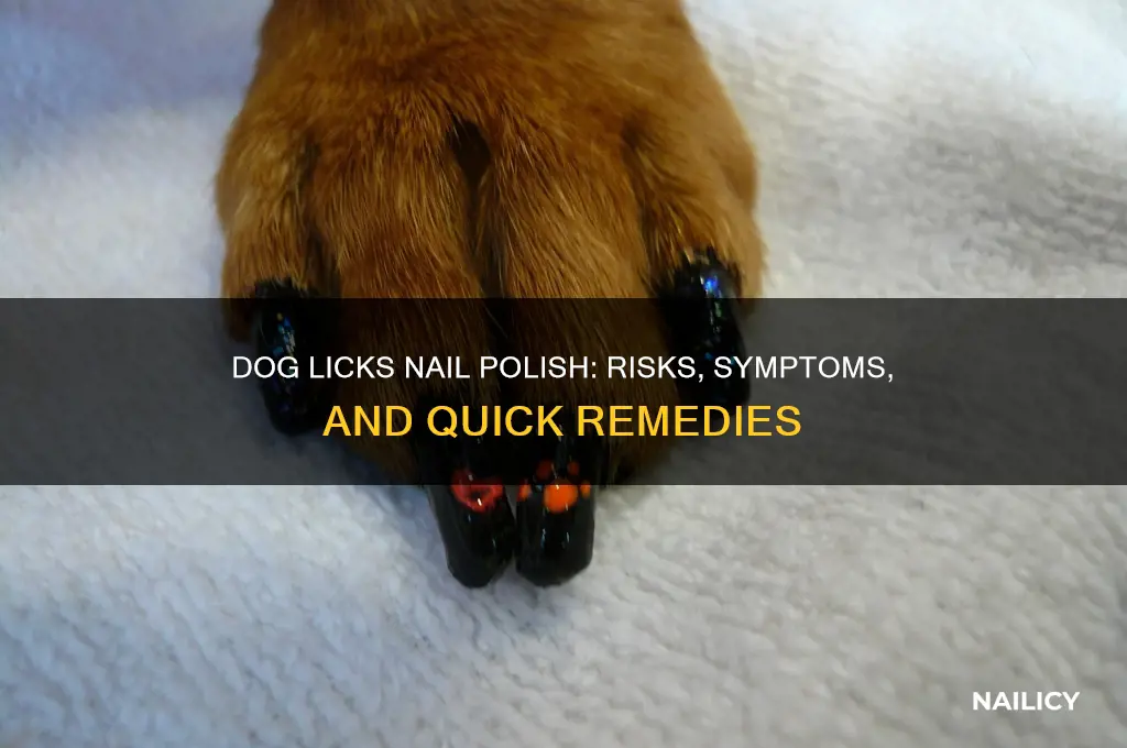 what happens if a dog licks nail polish
