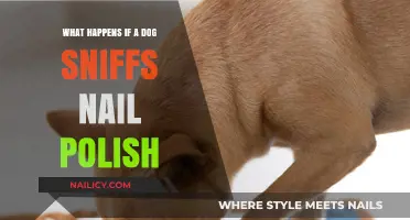 Can Dogs Sniff Nail Polish Safely? Risks and Precautions Explained