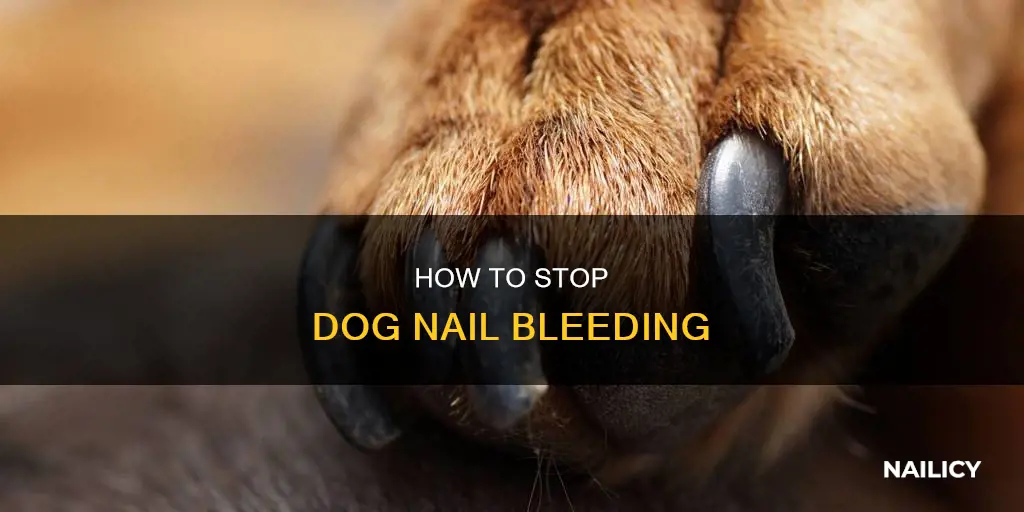 what happens if cutting my dog