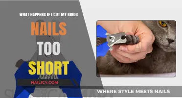 Trimming Bird Nails: What Happens If You Overcut?