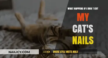 Cat's Nails: The Horrors of Neglect
