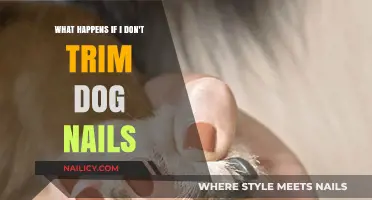 Why Trimming Dog Nails is Essential for Their Health