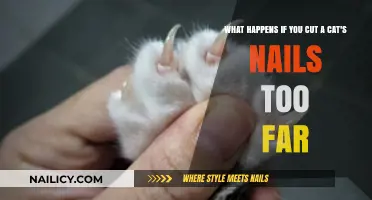 Cutting Cat Nails: The Dangers of Over-Trimming