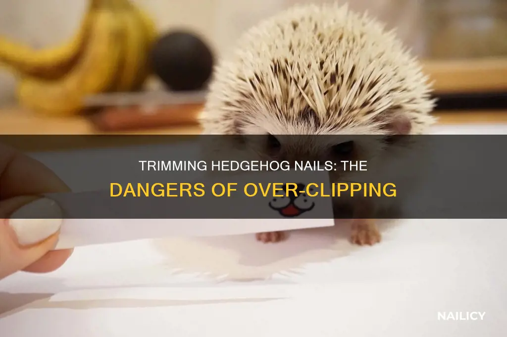 what happens if you cut your hedgehog