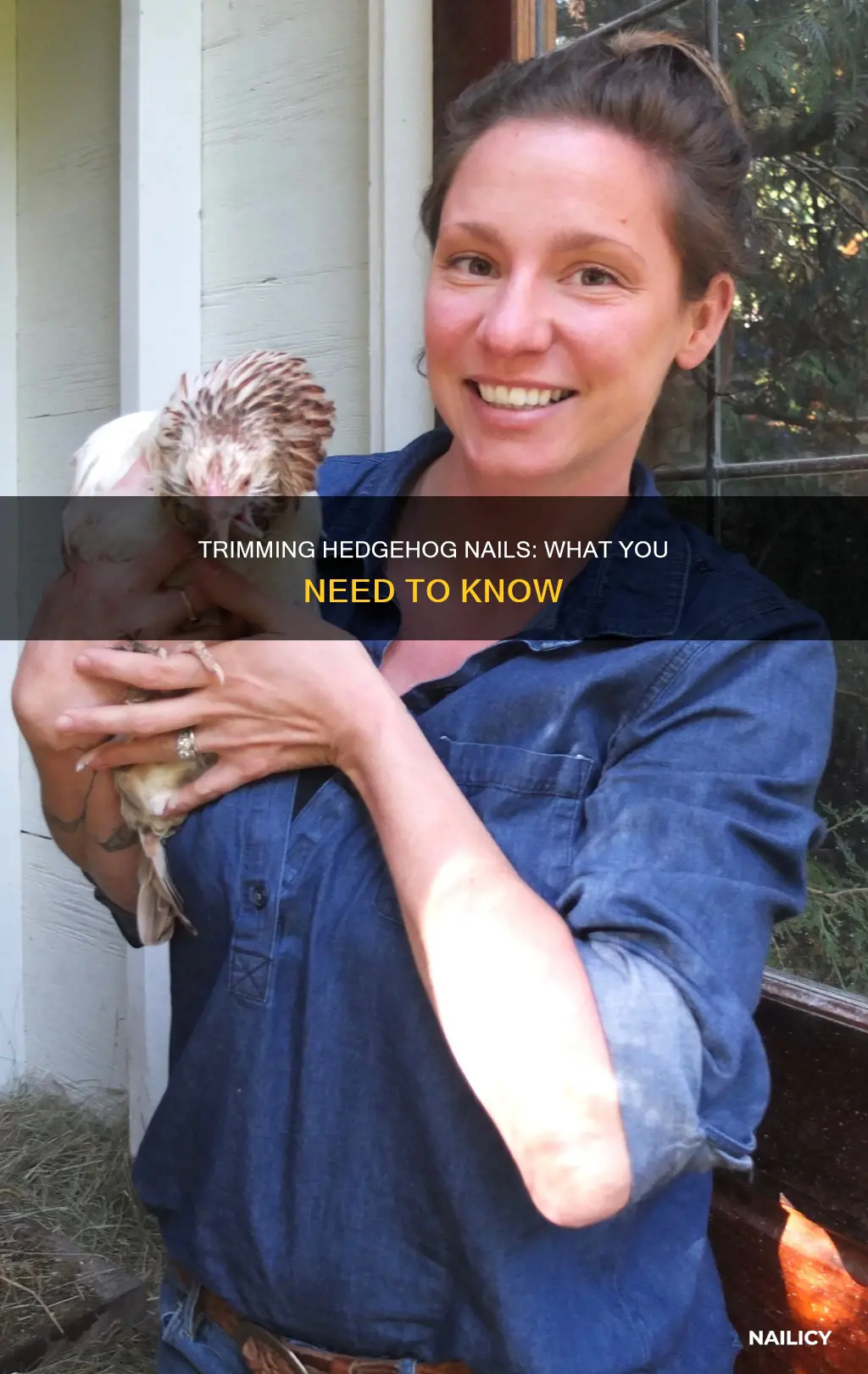 what happens if you cut your hedghog