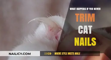 Cat Nails: Trimming vs. Never-Ending Growth