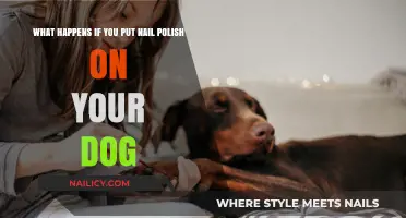 Nail Polish on Dogs: Risks, Reactions, and Safe Alternatives Explained