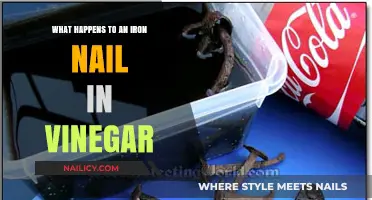 Vinegar's Effect on Iron: Nail Corrosion Experiment Explained