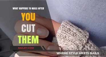Clippings: The Science of Nails After Cutting