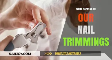 Where Do Nail Clippings Go?