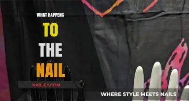 Unveiling the Fate of Nails: A Comprehensive Guide