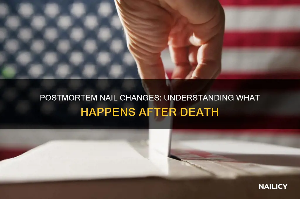 what happens to your nails when you die
