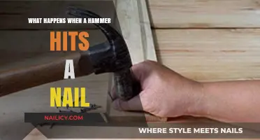 Hammer Meets Nail: Unraveling the Physics Behind the Strike