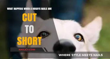 Trimming Nails: Husky Health Hazards
