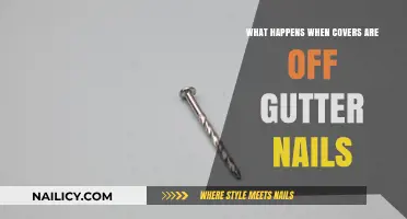 Exposed Gutter Nails: Risks, Damage, and Prevention Tips Revealed