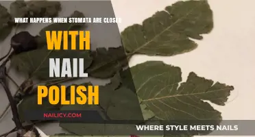 Nail Polish on Stomata: Effects on Plant Transpiration and Gas Exchange