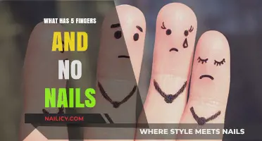 Unveiling the Mystery: What Has 5 Fingers and No Nails?