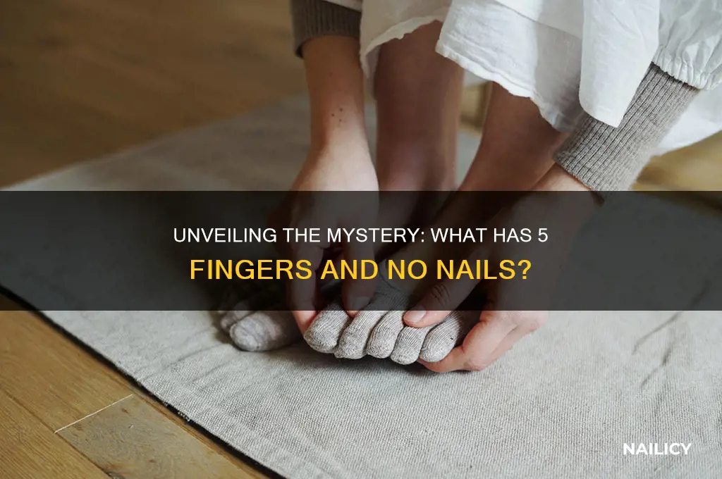 what has 5 fingers and no nails