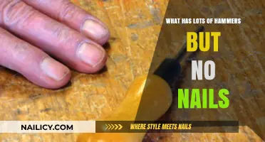 Hammers Galore: Unraveling the Mystery of the Nail-Free Collection