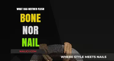 Unveiling the Mystery: What Has Neither Flesh, Bone, Nor Nail?