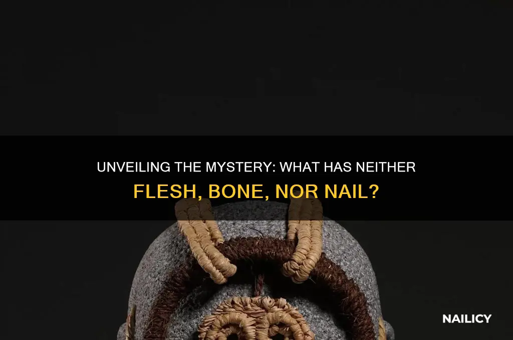 what has neither flesh bone nor nail