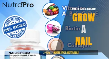 How Nail Beds Support Nail Growth