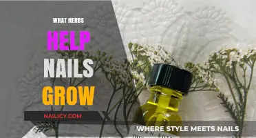 Herbs to Boost Nail Growth