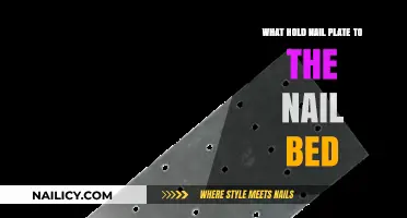 Understanding the Science Behind Nail Plate Attachment to the Nail Bed