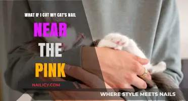 Cat Nail-Clipping: How Close to the Quick is Too Close?