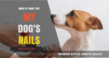 Long Nails: The Painful and Dangerous Consequences for Your Dog