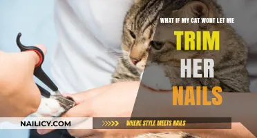 Trimming Cat Nails: Strategies for Success