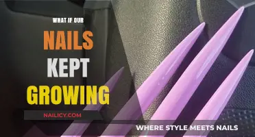 The Unending Nails: An Unimaginable Growth Story