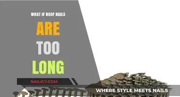 Long Roof Nails: What You Should Know