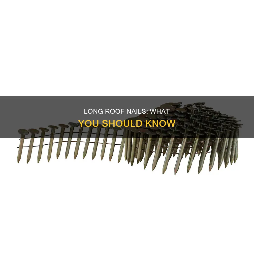 what if roof nails are too long