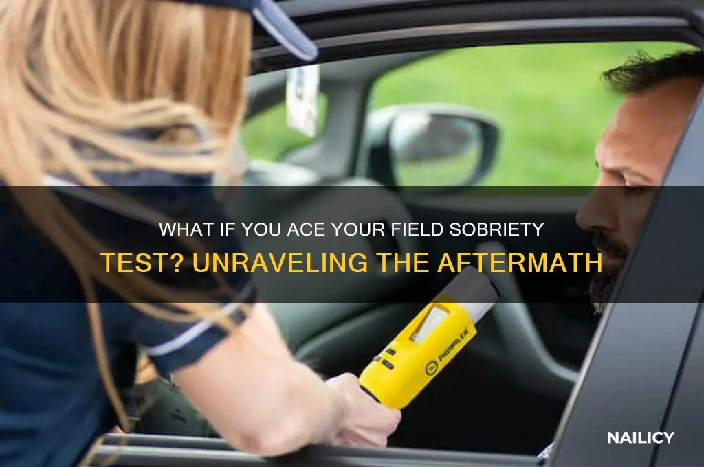 what if you field sobriety test nailed