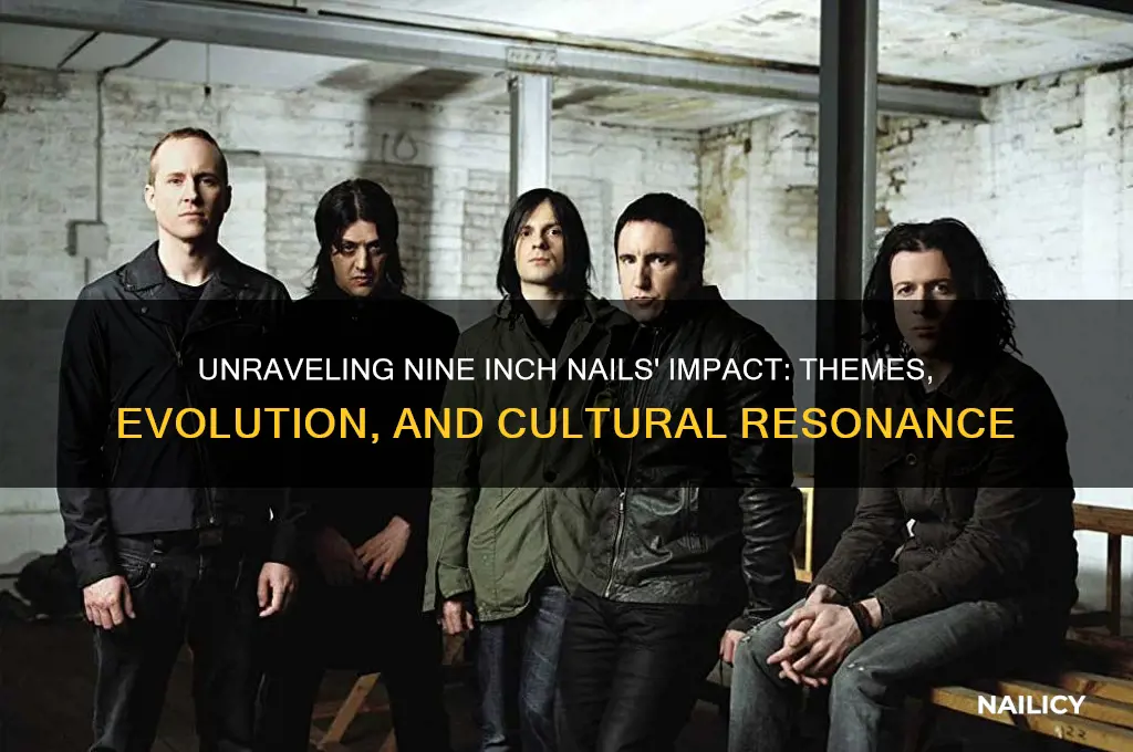 what im talking about nine inch nails