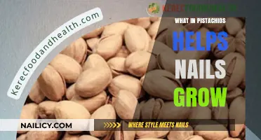 Pistachio Power: How They Help Nails Grow