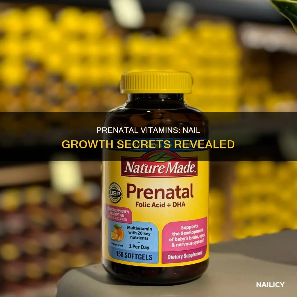 what in prenatal vitamins makes nails grow