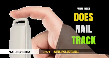 Decoding the Mystery: What Index Does Nail Track?
