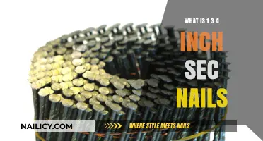 Understanding 1 3/4 Inch Sec Nails: Uses, Benefits, and Applications