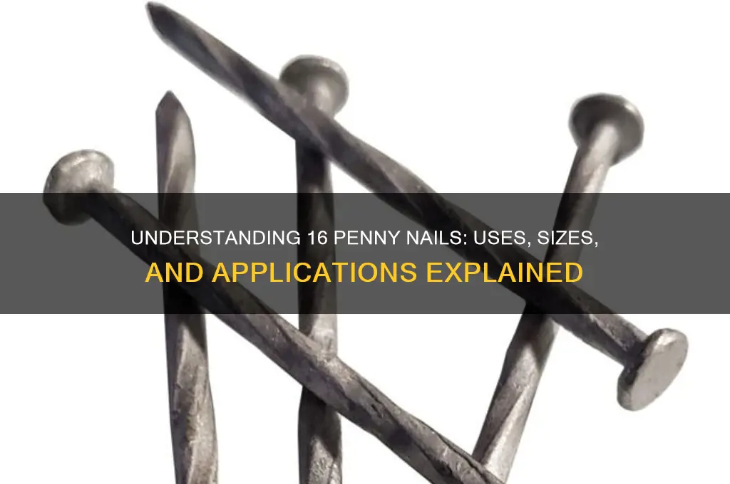 what is 16 penny nail