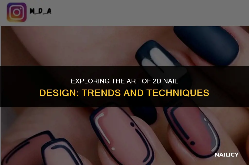 what is 2d nail